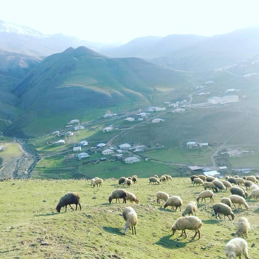 Xinaliq Elnur Guest House, New Hotel Esterno foto