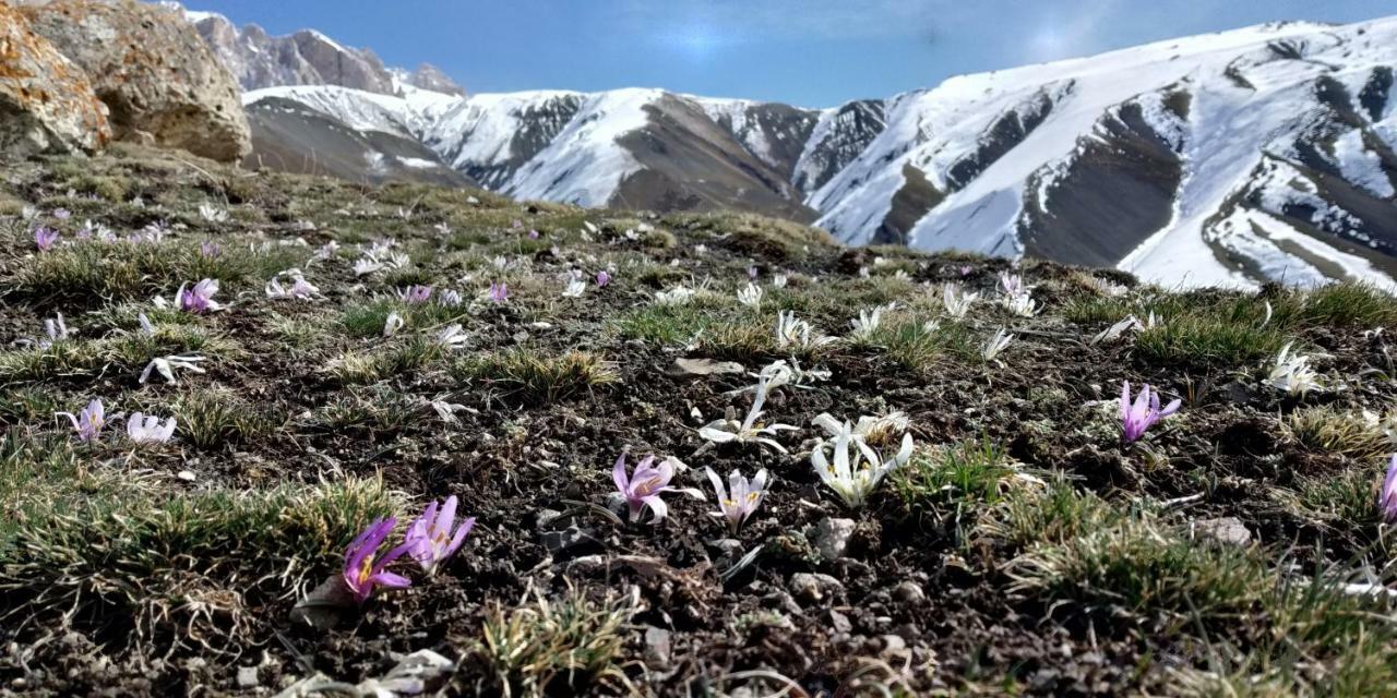 Xinaliq Elnur Guest House, New Hotel Esterno foto